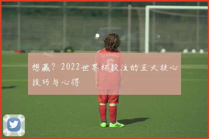 想赢？2022世界杯投注的五大核心技巧与心得