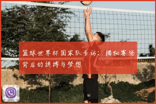 篮球世界杯国家队专访：揭秘赛场背后的拼搏与梦想