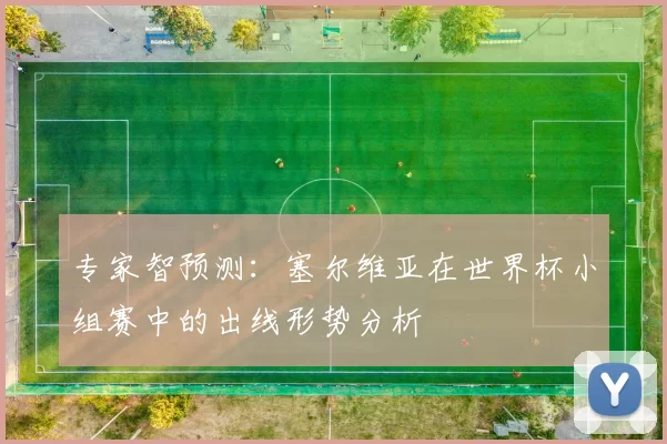 专家智预测：塞尔维亚在世界杯小组赛中的出线形势分析