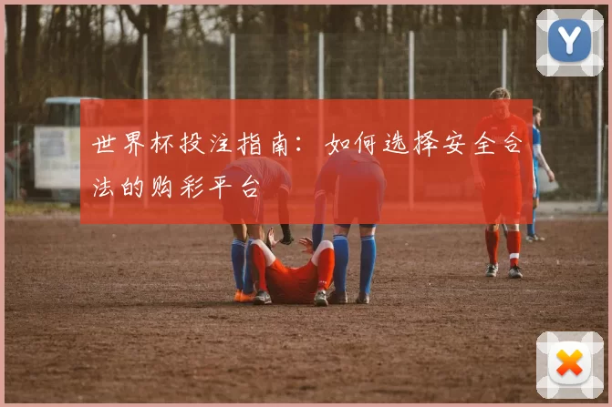 世界杯投注指南：如何选择安全合法的购彩平台