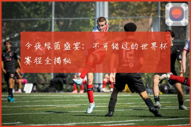 今夜绿茵盛宴：不可错过的世界杯赛程全揭秘