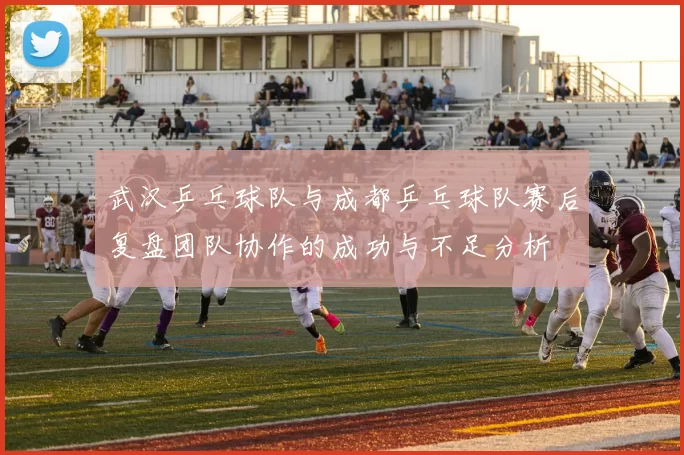 武汉乒乓球队与成都乒乓球队赛后复盘团队协作的成功与不足分析