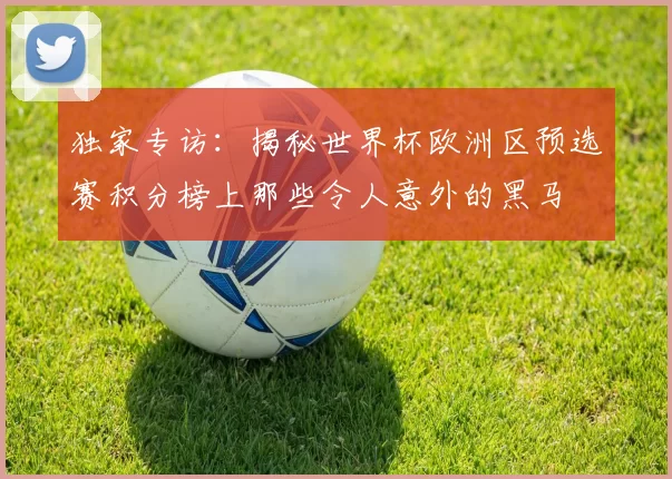 独家专访：揭秘世界杯欧洲区预选赛积分榜上那些令人意外的黑马