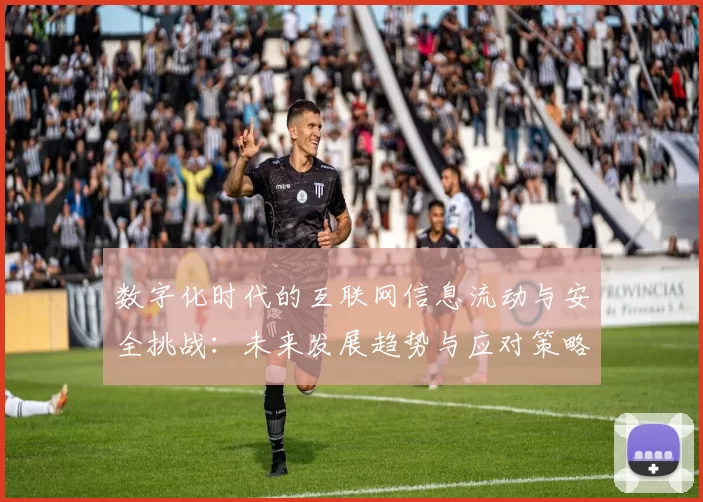 数字化时代的互联网信息流动与安全挑战：未来发展趋势与应对策略分析