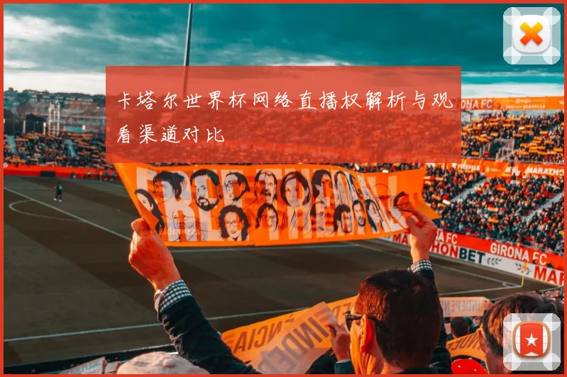 卡塔尔世界杯网络直播权解析与观看渠道对比