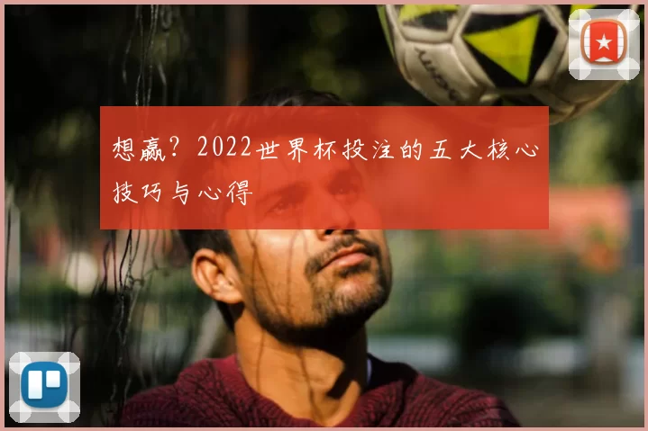 想赢？2022世界杯投注的五大核心技巧与心得
