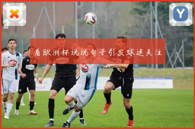 看欧洲杯说说句子引发球迷关注