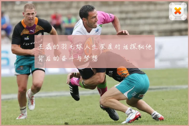 王磊的羽毛球人生深度对话探秘他背后的奋斗与梦想