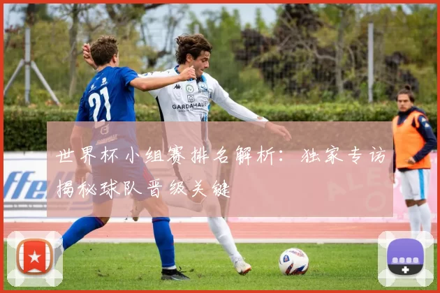 世界杯小组赛排名解析：独家专访揭秘球队晋级关键