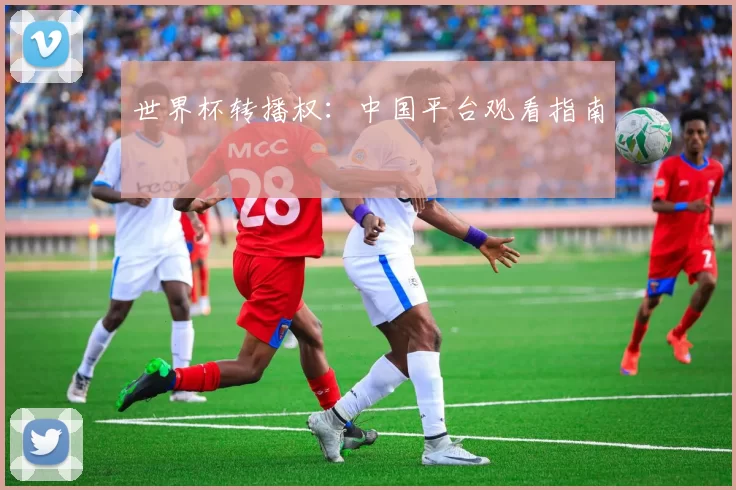 世界杯转播权：中国平台观看指南