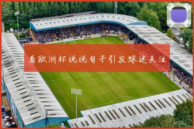 看欧洲杯说说句子引发球迷关注