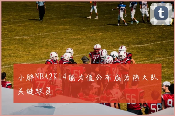 小胖NBA2K14能力值公布成为热火队关键球员